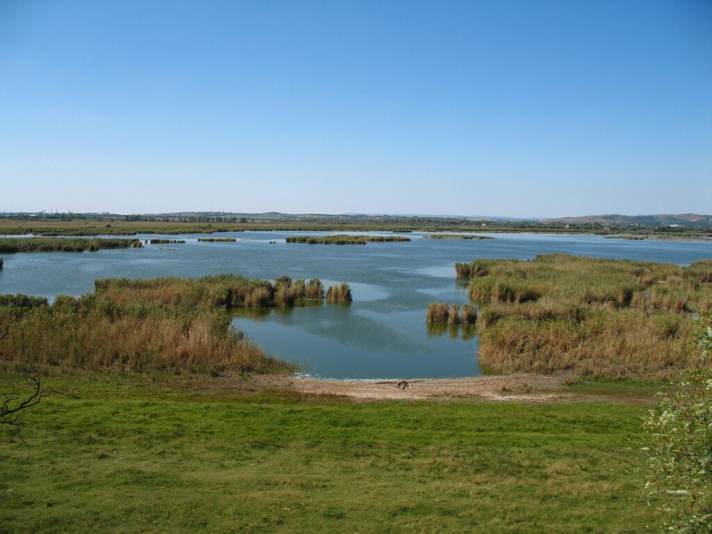 Fertő